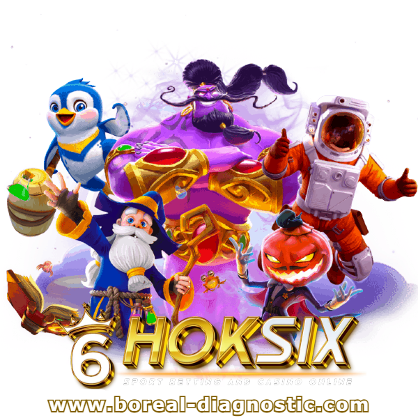 6-hoksix